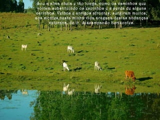 Sou a alma cheia e tão longa, como os caminhos que 
voltam substituindo os espinhos e a perda de alguns 
carinhos. Velhos e antigos afrontes, surgiram muitos, 
aos montes,nesta minha vida aragana destas andanças 
veterana, de ir descampando horizontes. 
 