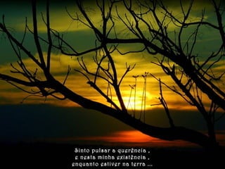 Sinto pulsar a querência , 
e nesta minha existência , 
enquanto estiver na terra ... 
 