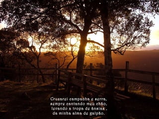 Cruzarei campanha e serra, 
sempre cantando meu chão, 
levando a tropa de ânsias , 
da minha alma de galpão. 
 
