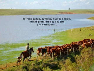 A tropa segue, devagar, mugindo tonta, 
talvez pressinta que seu fim 
é o matadouro... 
 