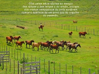 Olha estas mãos afeitas ao manejo 
das rédeas e das lanças e do arado, trilogia 
dos trastes campesinos de onde surgiram 
rumos e destinos de um povo que se orgulha 
do passado. 
 