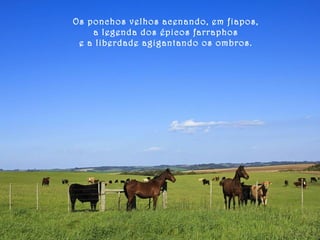 Os ponchos velhos acenando, em fiapos, 
a legenda dos épicos farraphos 
e a liberdade agigantando os ombros. 
 