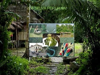 LA SELVA PERUANA