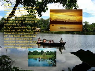 CLIMALa región es de clima subtropical árido, que comprende la Costa Central y la Costa Sur, con una temperatura anual promedio de 18.2gión de clima °, con máximas en verano de 26° y mínimas en invierno de 13°; la región de clima semi-tropical, ubicada al norte del Perú, con una temperatura anual promedio de 24°. Las lluvias periódicas que caen en la costa norte son favorables al desarrollo de una abundante vegetación hierbal y de densos bosque de árboles. 