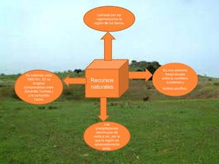 Llamada por los cajamarquinos la región de los llanos, Recursos naturales Es una estrecha franja situada entre la cordillera occidental y océano pacífico.Se extiende unos 1800 Km. En su longitud comprendidos entre Zarumilla Tumbes ) y la concordia Tacna.Las precipitaciones disminuyen de norte a sur, por lo que la región es extremadamente árida, 