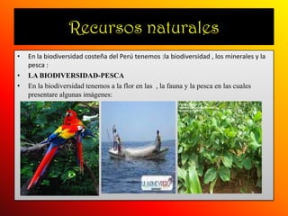 Recursos naturalesEn la biodiversidad costeña del Perú tenemos :la biodiversidad , los minerales y la pesca : LA BIODIVERSIDAD-PESCAEn la biodiversidad tenemos a la flor en las  , la fauna y la pesca en las cuales presentare algunas imágenes: 