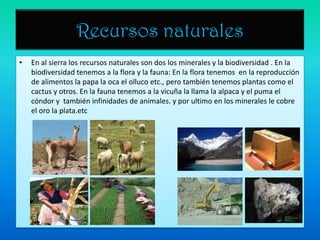 Recursos naturalesEn al sierra los recursos naturales son dos los minerales y la biodiversidad . En la biodiversidad tenemos a la flora y la fauna: En la flora tenemos  en la reproducción de alimentos la papa la oca el olluco etc., pero también tenemos plantas como el cactus y otros. En la fauna tenemos a la vicuña la llama la alpaca y el puma el cóndor y  también infinidades de animales. y por ultimo en los minerales le cobre el oro la plata.etc