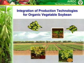 AVRDC
                       The World Vegetable Center



Integration of Production Technologies
    for Organic Vegetable Soybean
 
