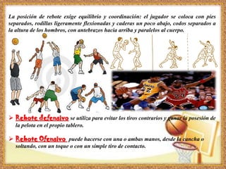  Rebote defensivo se utiliza para evitar los tiros contrarios y ganar la posesión de
la pelota en el propio tablero.
 Rebote Ofensivo puede hacerse con una o ambas manos, desde la cancha o
soltando, con un toque o con un simple tiro de contacto.
La posición de rebote exige equilibrio y coordinación: el jugador se coloca con pies
separados, rodillas ligeramente flexionadas y caderas un poco abajo, codos separados a
la altura de los hombros, con antebrazos hacia arriba y paralelos al cuerpo.
 
