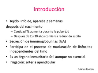 Introducción
• Tejido linfoide, aparece 2 semanas
después del nacimiento
– Cantidad TL aumenta durante la pubertad
– Después de los 30 años comienza reducción súbita
• Secreción de inmunoglobulinas (IgA)
• Participa en el proceso de maduración de linfocitos
independientes del timo
• Es un órgano inmunitario útil aunque no esencial
• Irrigación: arteria apendicular
Orianny Pantoja
 