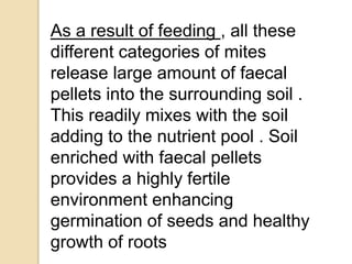 As a result of feeding , all these
different categories of mites
release large amount of faecal
pellets into the surrounding soil .
This readily mixes with the soil
adding to the nutrient pool . Soil
enriched with faecal pellets
provides a highly fertile
environment enhancing
germination of seeds and healthy
growth of roots
 