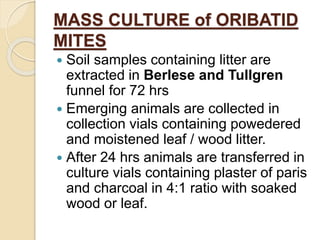 MASS CULTURE of ORIBATID
MITES
 Soil samples containing litter are
extracted in Berlese and Tullgren
funnel for 72 hrs
 Emerging animals are collected in
collection vials containing powedered
and moistened leaf / wood litter.
 After 24 hrs animals are transferred in
culture vials containing plaster of paris
and charcoal in 4:1 ratio with soaked
wood or leaf.
 
