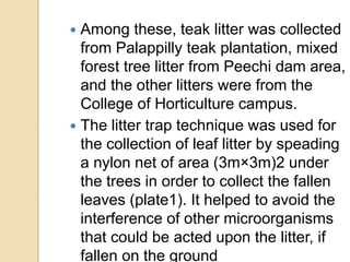  Among these, teak litter was collected
from Palappilly teak plantation, mixed
forest tree litter from Peechi dam area,
and the other litters were from the
College of Horticulture campus.
 The litter trap technique was used for
the collection of leaf litter by speading
a nylon net of area (3m×3m)2 under
the trees in order to collect the fallen
leaves (plate1). It helped to avoid the
interference of other microorganisms
that could be acted upon the litter, if
fallen on the ground
 