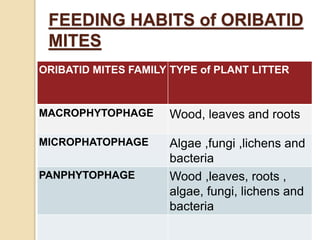 FEEDING HABITS of ORIBATID
MITES
ORIBATID MITES FAMILY TYPE of PLANT LITTER
MACROPHYTOPHAGE Wood, leaves and roots
MICROPHATOPHAGE Algae ,fungi ,lichens and
bacteria
PANPHYTOPHAGE Wood ,leaves, roots ,
algae, fungi, lichens and
bacteria
 