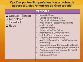 OPCIÓN B
 Debuxo Técnico
 Tecnoloxía
Industrial
 Fisica
• Artes Gráficas
• Edificación e Obra Civil
• Electricidade e electrónica
• Imaxe e Son ( agás Produción de
audiovisuais )
• Enerxía e auga
• Fabricación Mecánica
• Informática e Comunicacións
• Instalación e mantenemento
• Madeira, moble e cortiza
• Marítimo-Pesqueira ( agás Produción
acuícola )
• Transporte e mantemento de vehículos
• Textil, confeción e pel ( agás curtidos e
Procesos de ennobrecemento téxtil )
• Industrias extractivas
• Vidro e cerámica
 