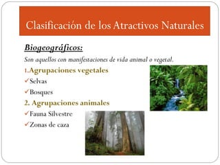 Biogeográficos:
Son aquellos con manifestaciones de vida animal o vegetal.
1.Agrupaciones vegetales
Selvas
Bosques
2. Agrupaciones animales
Fauna Silvestre
Zonas de caza

 