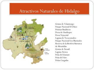 Atractivos Naturales de Hidalgo

Parque Nacional
Los Mármoles
20 mil hectáreas

Río Amajac

Grutas de Tolantongo
Parque Nacional El Chico
Prismas Basálticos
Presa de Omiltepec
Presa Tejocotal
Laguna de Tecocomulco
Parque Nacional Los Marmoles
Reserva de la Biosfera Barranca
de Metztitlán
Grutas de Xoxafi
Laguna Atezca
Peña del Zumate
Peña del Aire
Peñas Cargadas

 