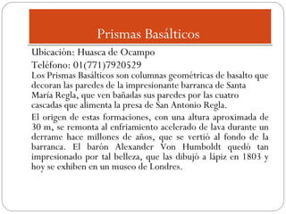 Prismas Basálticos
Ubicación: Huasca de Ocampo
Teléfono: 01(771)7920529

Los Prismas Basálticos son columnas geométricas de basalto que
decoran las paredes de la impresionante barranca de Santa
María Regla, que ven bañadas sus paredes por las cuatro
cascadas que alimenta la presa de San Antonio Regla.
El origen de estas formaciones, con una altura aproximada de
30 m, se remonta al enfriamiento acelerado de lava durante un
derrame hace millones de años, que se vertió al fondo de la
barranca. El barón Alexander Von Humboldt quedó tan
impresionado por tal belleza, que las dibujó a lápiz en 1803 y
hoy se exhiben en un museo de Londres.

 