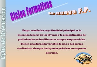 la nueva F.P. Etapa  académica cuya finalidad principal es la inserción laboral de los jóvenes y la especialización de profesionales en los diferentes campos empresariales. Tienen una duración variable de uno a dos cursos académicos, siempre incluyendo prácticas en empresas del ramo . Ciclos Formativos 