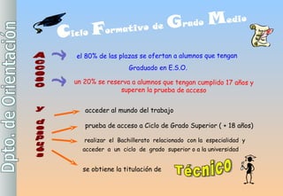 Acceso el  80% de las plazas se ofertan a alumnos que tengan  Graduado en E.S.O. un 20% se reserva a alumnos que tengan cumplido 17 años y superen la prueba de acceso y después acceder al mundo del trabajo realizar  el  Bachillerato  relacionado  con  la   especialidad  y  acceder  a  un  ciclo  de  grado  superior  o a la universidad prueba de acceso a Ciclo de Grado Superior ( + 18 años) se obtiene la titulación de  C iclo  F ormativo de  G rado  M edio Técnico 