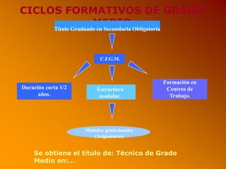 CICLOS FORMATIVOS DE GRADO
MEDIO
Duración corta 1/2
años.
Estructura
modular.
Formación en
Centros de
Trabajo.
Módulos profesionales
(Asignaturas)
Título Graduado en Secundaria Obligatoria
C.F.G.M.
Se obtiene el título de: Técnico de Grado
Medio en:…
 