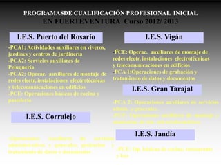 PROGRAMASDE CUALIFICACIÓN PROFESIONAL INICIAL
EN FUERTEVENTURA Curso 2012/ 2013
--PCA1: Actividades auxiliares en viveros,
jardines y centros de jardinería
-PCA2: Servicios auxiliares de
Peluquería
-PCA2: Operac. auxiliares de montaje de
redes electr, instalaciones electrotécnicas
y telecomunicaciones en edificios
-PCE: Operaciones básicas de cocina y
pastelería
I.E.S. Jandía
I.E.S. Puerto del Rosario I.E.S. Vigán
I.E.S. Gran Tarajal
-PCE: Operac. auxiliares de montaje de
redes electr, instalaciones electrotécnicas
y telecomunicaciones en edificios
-PCA 1:Operaciones de grabación y
tratamiento de datos y documentos
-PCA 2: Operaciones auxiliares de servicios
admin. y generales.
-PCP: Operaciones auxiliares de montaje y
mantenim. de sist. microinformáticos
I.E.S. Corralejo
-Operaciones Auxiliares de servicios
administrativos y generales, grabación y
tratamiento de datos y documentos -PCE: Op. básicas de cocina, restaurante
y bar
 