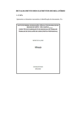DETALHAMENTO DOS ELEMENTOS DO RELATÓRIO
1- CAPA
Apresenta os elementos necessários à identificação do documento. Ex.:
 