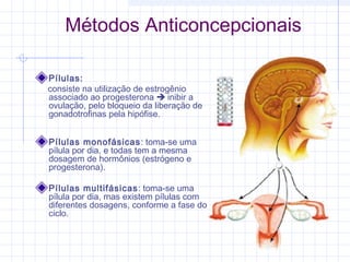 Métodos Anticoncepcionais
Pílulas:
consiste na utilização de estrogênio
associado ao progesterona  inibir a
ovulação, pelo bloqueio da liberação de
gonadotrofinas pela hipófise.
Pílulas monofásicas: toma-se uma
pílula por dia, e todas tem a mesma
dosagem de hormônios (estrógeno e
progesterona).
Pílulas multifásicas: toma-se uma
pílula por dia, mas existem pílulas com
diferentes dosagens, conforme a fase do
ciclo.
 
