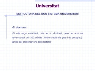 Serveis Socioculturals i a la comunitat