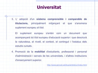 Tèxtil, Confecció i Pell