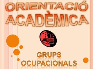 ORIENTACIÓ ACADÈMICA Grups ocupacionals 