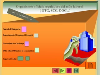 •6
Organismes oficials reguladors del món laboral
( OTG, SCC, DOG...)
Servei d’Ocupació
Departament d’Empresa i Ocupació
Generalitat de Catalunya
DOG (Diari Oficial de la Generalitat)
Seguretat Social
 