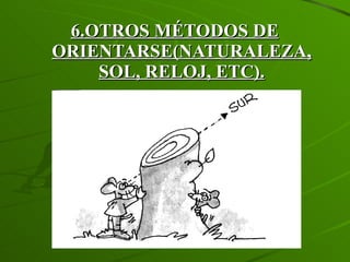 6. OTROS MÉTODOS DE ORIENTARSE(NATURALEZA, SOL, RELOJ, ETC). 