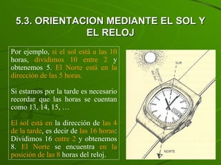 Por ejemplo,  si el sol está a las 10   horas,  dividimos 10 entre 2   y obtenemos 5.  El Norte está en la dirección de las 5 horas.  Si estamos por la tarde es necesario recordar que las horas se cuentan como 13, 14, 15, …  El sol está en  la dirección de  las 4 de la tarde , es decir de  las 16 horas : Dividimos 16  entre 2  y obtenemos 8.  El Norte  se encuentra  en la   posición de las   8  horas del reloj. 5.3. ORIENTACION MEDIANTE EL SOL Y EL RELOJ 