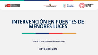 INTERVENCIÓN EN PUENTES DE
MENORES LUCES
GERENCIA DE INTERVENCIONES ESPECIALES
SEPTIEMBRE 2022
 