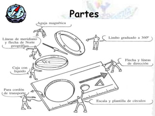Partes
 