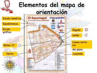 Elementos del mapa de
orientación
Escala numérica
Equidistancia
Escala
gráfica
Leyenda
Líneas norte-
sur
del plano
Baliza 17
salida
llegada
Norte
 