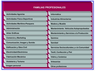 Actividades Agrarias
Actividades Físico-Deportivas
Actividades Marítimo-Pesquera
Administración
Artes Gráficas
Comercio y Marketing
Comunicación, Imagen y Sonido
Informática
Industrias Alimentarias
Madera y Mueble
Mantenimiento Vehículos Autopropulsados
Mantenimiento y Servicios a la Producción
Edificación y Obra Civil
Electricidad-Electrónica
Fabricación Mecánica
Imagen personal
Hostelería y Turismo
Química
Sanidad
Servicios Socioculturales y a la Comunidad
Textil, Confección y Piel
Vidrio y Cerámica
FAMILIAS PROFESIONALES
Artesanías
Otras profesiones
 