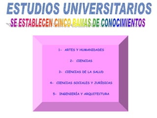 1- ARTES Y HUMANIDADES
2- CIENCIAS
3- CIENCIAS DE LA SALUD
4- CIENCIAS SOCIALES Y JURÍDICAS
5- INGENIERÍA Y ARQUITECTURA
 