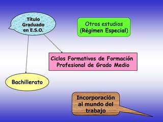 Bachillerato
Ciclos Formativos de Formación
Profesional de Grado Medio
Título
Graduado
en E.S.O.
Incorporación
al mundo del
trabajo
Otros estudios
(Régimen Especial)
 