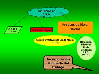 Sin Título en
E.S.O.
P.C.P.I. (15-16 años)
Pruebas de libre
acceso
Incorporación
al mundo del
trabajo
Ciclos Formativos de Grado Medio
(17 AÑOS) Obtención
Libre del
Título
Graduado
E.S.O.
(18 años)
C.E.P.A.
(18 años)
 