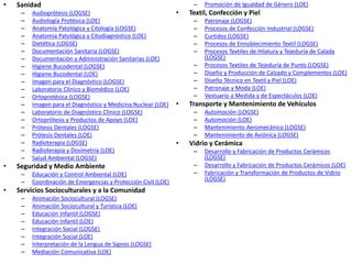 • Sanidad
– Audioprótesis (LOGSE)
– Audiología Protésica (LOE)
– Anatomía Patológica y Citología (LOGSE)
– Anatomía Patológica y Citodiagnóstico (LOE)
– Dietética (LOGSE)
– Documentación Sanitaria (LOGSE)
– Documentación y Administración Sanitarias (LOE)
– Higiene Bucodental (LOGSE)
– Higiene Bucodental (LOE)
– Imagen para el Diagnóstico (LOGSE)
– Laboratorio Clínico y Biomédico (LOE)
– Ortoprotésica (LOGSE)
– Imagen para el Diagnóstico y Medicina Nuclear (LOE)
– Laboratorio de Diagnóstico Clínico (LOGSE)
– Ortoprótesis y Productos de Apoyo (LOE)
– Prótesis Dentales (LOGSE)
– Prótesis Dentales (LOE)
– Radioterapia (LOGSE)
– Radioterapia y Dosimetría (LOE)
– Salud Ambiental (LOGSE)
• Seguridad y Medio Ambiente
– Educación y Control Ambiental (LOE)
– Coordinación de Emergencias y Protección Civil (LOE)
• Servicios Socioculturales y a la Comunidad
– Animación Sociocultural (LOGSE)
– Animación Sociocultural y Turística (LOE)
– Educación Infantil (LOGSE)
– Educación Infantil (LOE)
– Integración Social (LOGSE)
– Integración Social (LOE)
– Interpretación de la Lengua de Signos (LOGSE)
– Mediación Comunicativa (LOE)
– Promoción de Igualdad de Género (LOE)
• Textil, Confección y Piel
– Patronaje (LOGSE)
– Procesos de Confección Industrial (LOGSE)
– Curtidos (LOGSE)
– Procesos de Ennoblecimiento Textil (LOGSE)
– Procesos Textiles de Hilatura y Tejeduría de Calada
(LOGSE)
– Procesos Textiles de Tejeduría de Punto (LOGSE)
– Diseño y Producción de Calzado y Complementos (LOE)
– Diseño Técnico en Textil y Piel (LOE)
– Patronaje y Moda (LOE)
– Vestuario a Medida y de Espectáculos (LOE)
• Transporte y Mantenimiento de Vehículos
– Automoción (LOGSE)
– Automoción (LOE)
– Mantenimiento Aeromecánico (LOGSE)
– Mantenimiento de Aviónica (LOGSE)
• Vidrio y Cerámica
– Desarrollo y Fabricación de Productos Cerámicos
(LOGSE)
– Desarrollo y Fabricación de Productos Cerámicos (LOE)
– Fabricación y Transformación de Productos de Vidrio
(LOGSE)
 