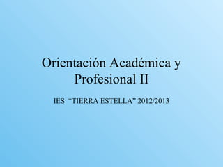 Orientación Académica y
     Profesional II
 IES “TIERRA ESTELLA” 2012/2013
 