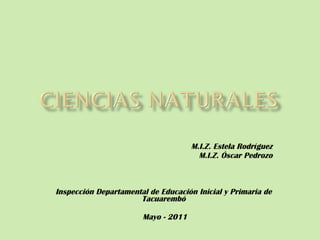 M.I.Z. Estela Rodríguez M.I.Z. Óscar Pedrozo Inspección Departamental de Educación Inicial y Primaria de Tacuarembó Mayo - 2011 