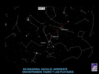 EN DIAGONAL HACIA EL NOROESTE ENCONTRAMOS TAURO Y LAS PLEYADES Alnitak  ζ Bellatrix  γ Aldebaran  α 