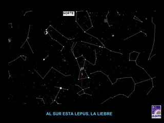 AL SUR ESTA LEPUS, LA LIEBRE 