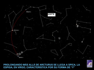 PROLONGANDO MÁS ALLÁ DE ARCTURUS SE LLEGA A SPICA, LA ESPIGA, EN VIRGO, CARACTERISTICA POR SU FORMA DE “Y” Spica  α Arturus  α Alkaid  η 
