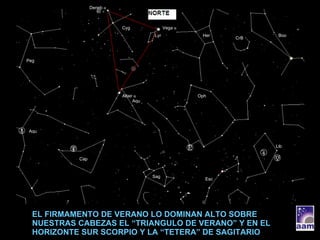 EL FIRMAMENTO DE VERANO LO DOMINAN ALTO SOBRE NUESTRAS CABEZAS EL “TRIANGULO DE VERANO” Y EN EL HORIZONTE SUR SCORPIO Y LA “TETERA” DE SAGITARIO Cyg Aqu Lyr Her CrB Boo Oph Peg Cap Aqu Sag Esc Lib Vega  α Deneb  α Altair  α 
