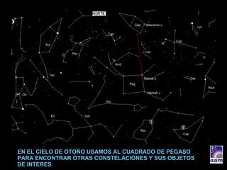 EN EL CIELO DE OTOÑO USAMOS AL CUADRADO DE PEGASO PARA ENCONTRAR OTRAS CONSTELACIONES Y SUS OBJETOS DE INTERES Peg And Per Aur Tau Ori Eri Cet Pis Aqu Cap Aqui Cyg Lyr Cep Lac Del Cas Alderamin  α Markab  α Scheat  β 
