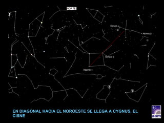 EN DIAGONAL HACIA EL NOROESTE SE LLEGA A CYGNUS, EL CISNE Algenib  γ Scheat  β Albireo  β Deneb  α 